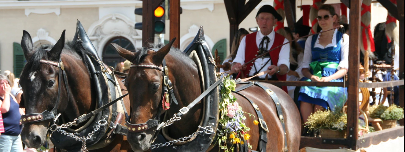  — © Biberacher Schützenfest