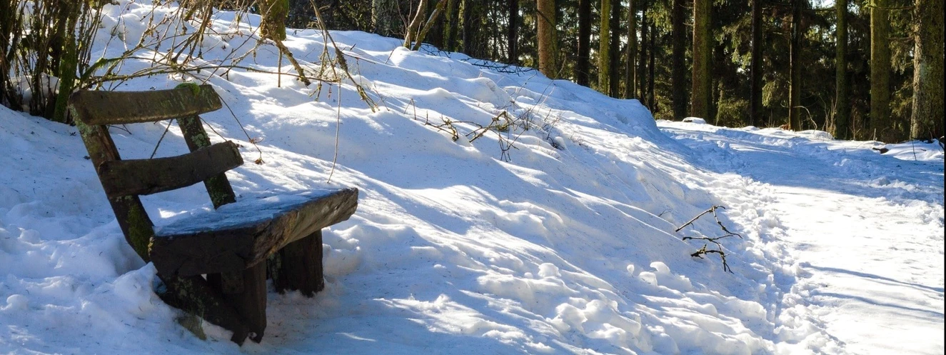 Winter, Schnee, Wald