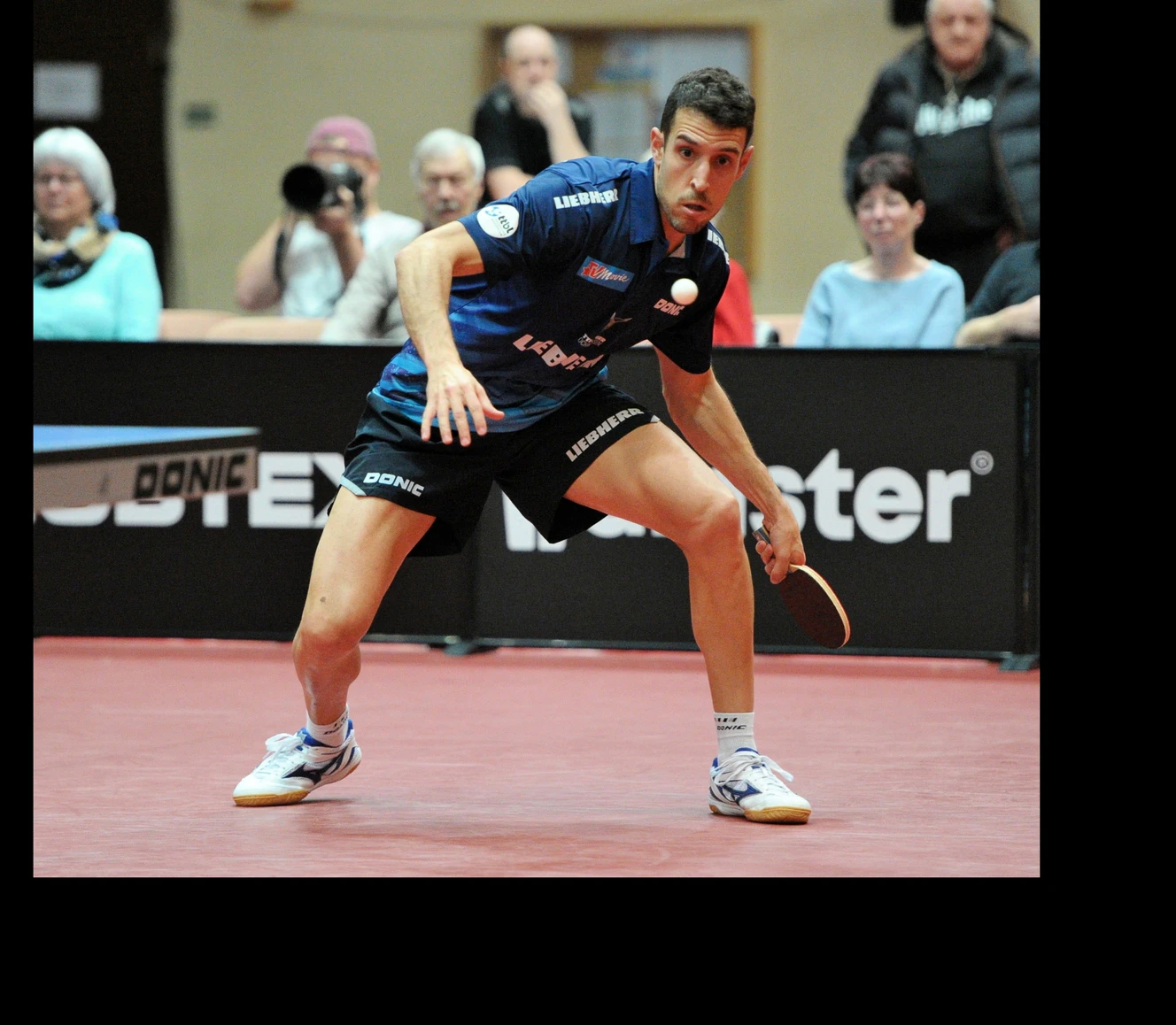 Tischtennis Bundesliga