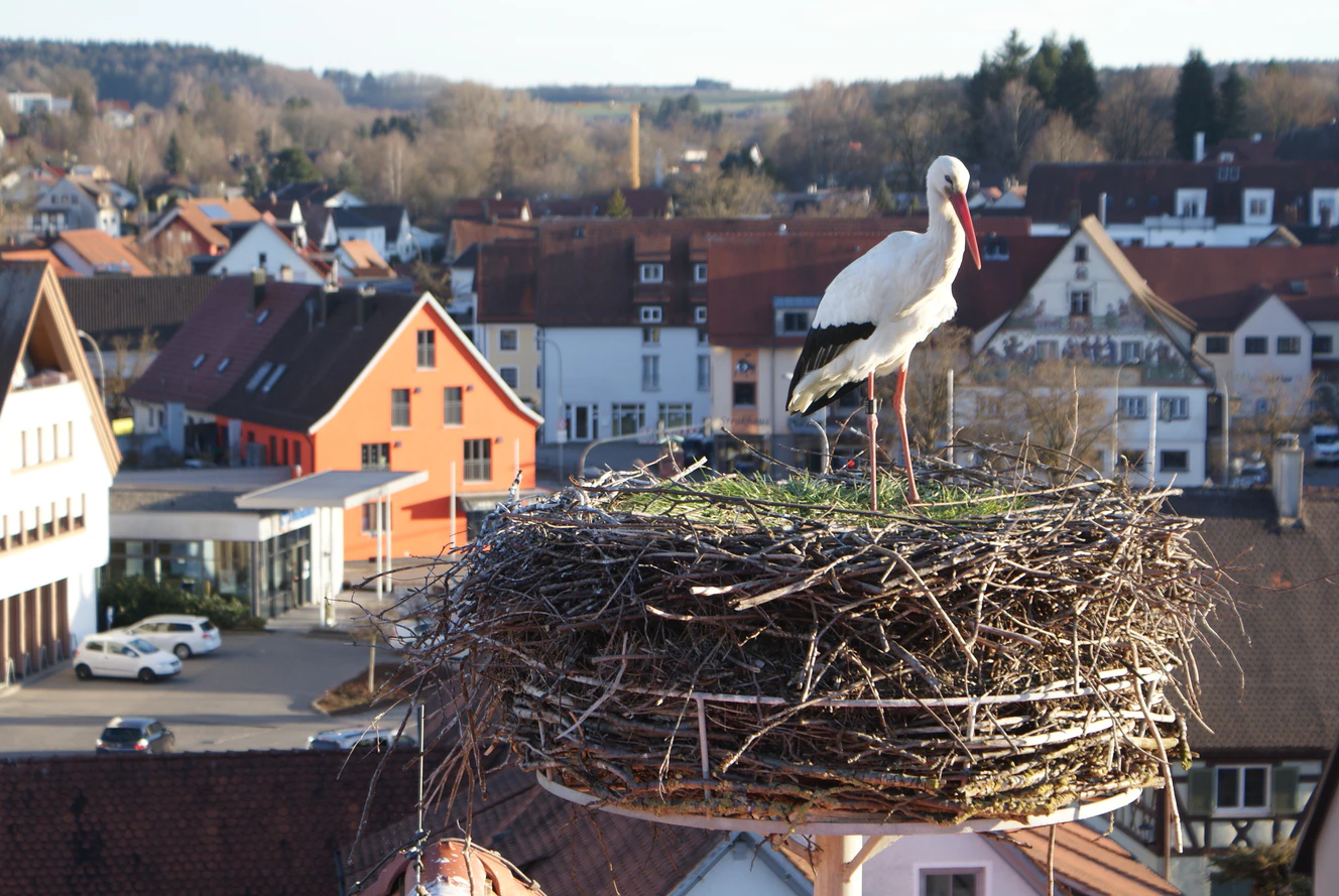  — © Stadt Ochsenhausen