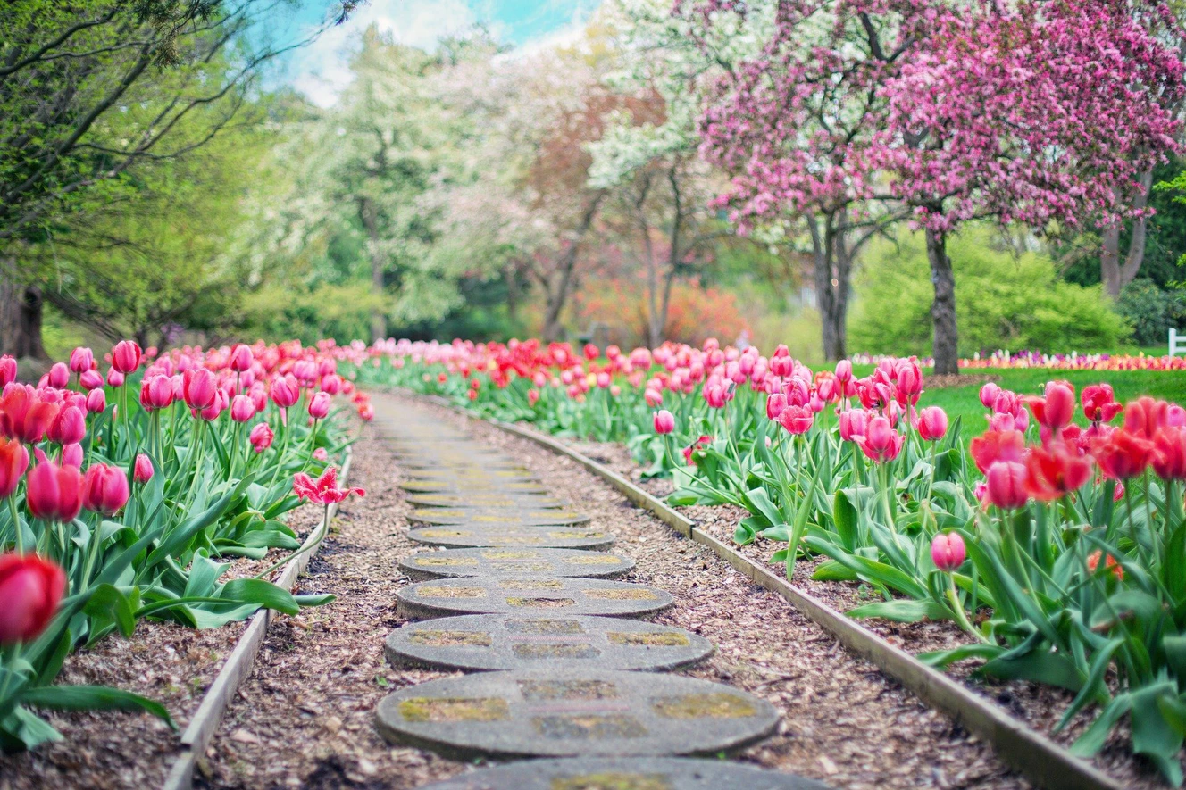 Ein Pfadweg durch eine schön angelegte Gartenanlage