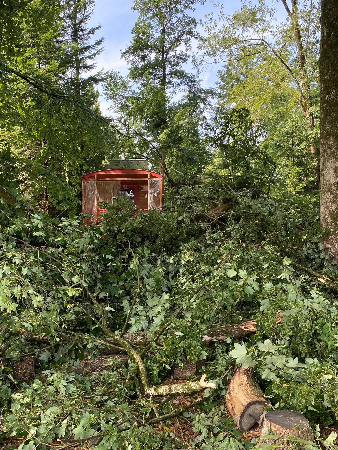  — © Stadt Ochsenhausen