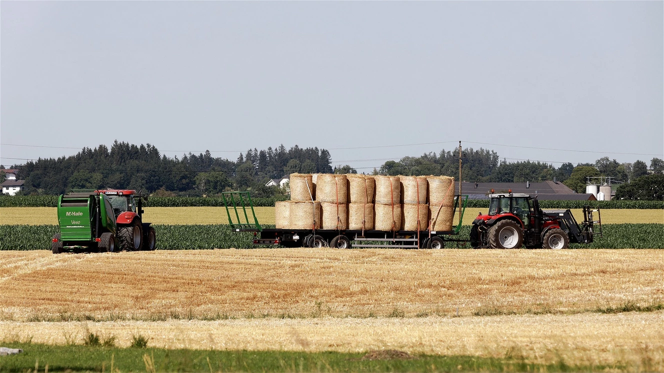 Ein Traktor steht mit einem Anhänger voll Strohballen auf einem Feld