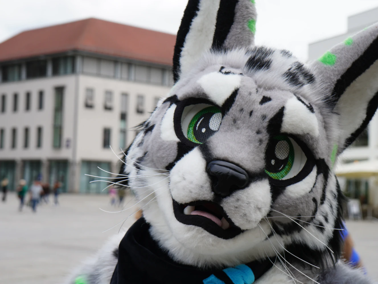 Furry Fandom: Die Ulmer Furs / Furrys