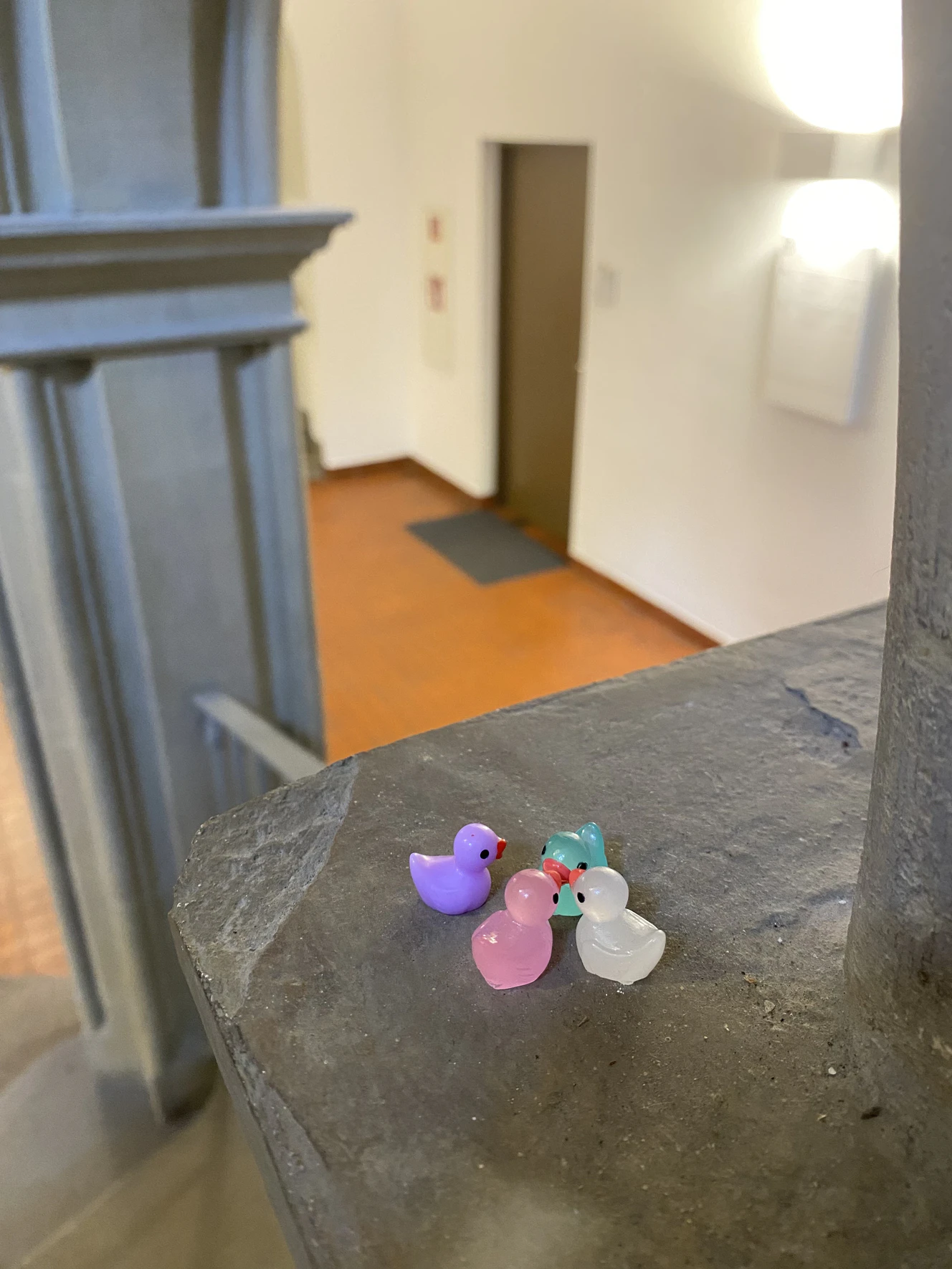 Enten im Ulmer Rathaus