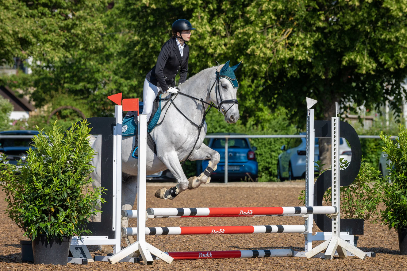 Heidenheimer Reitturnier — © Reiterverein Heidenheim e.V.
