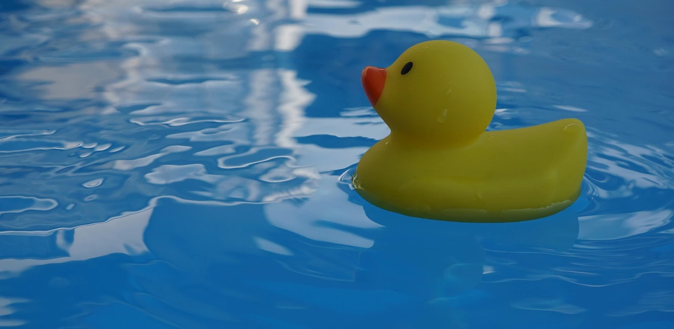 Quietscheente im Wasser
