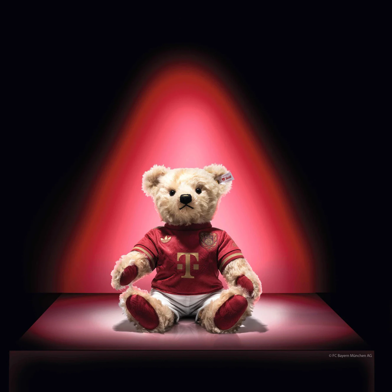 FC Bayern München-Teddybär — © FC Bayern München