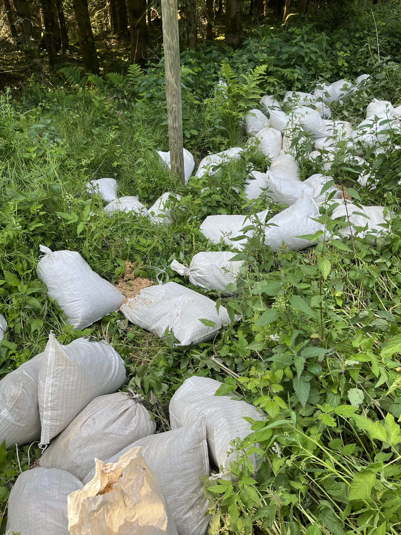 wilder Müll in Hochdorf — © Polizei