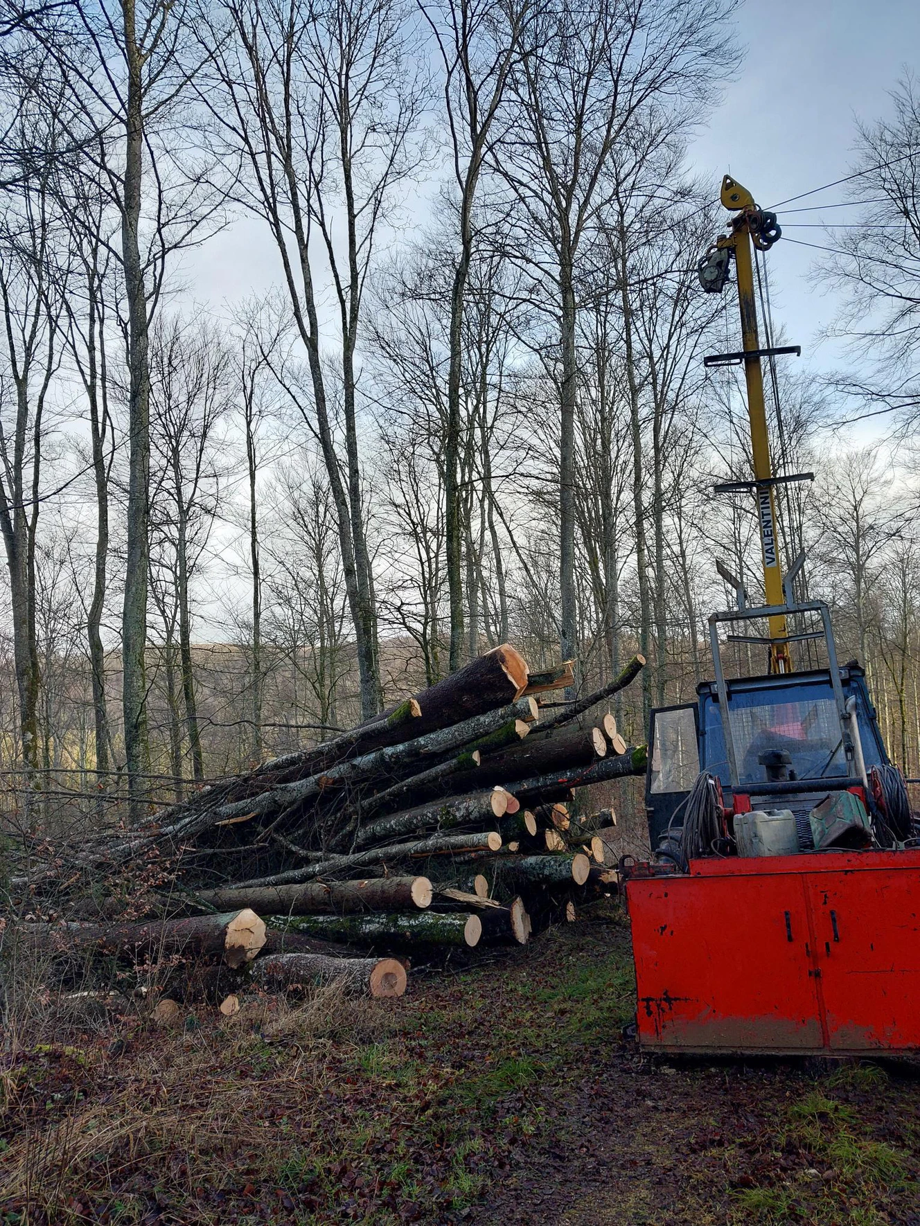 Mast der Seilkrananlage mit vorgeliefertem Holz  — © ForstBW/Graf