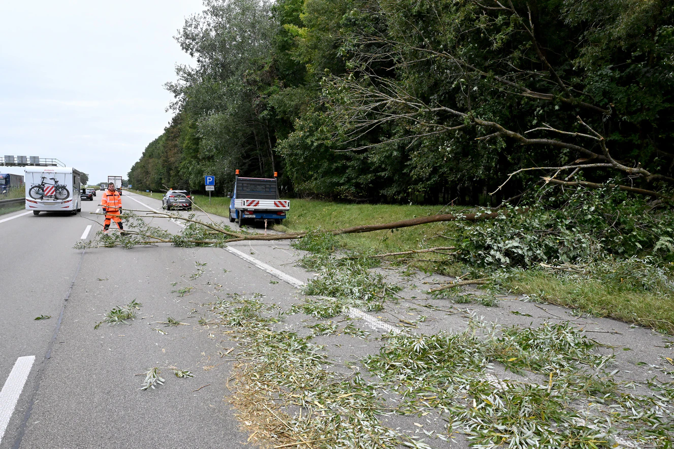 Am Mittwochvormittag stürzten zwei Bäume auf die A8 in Richtung Stuttgart. — © Thomas Heckmann