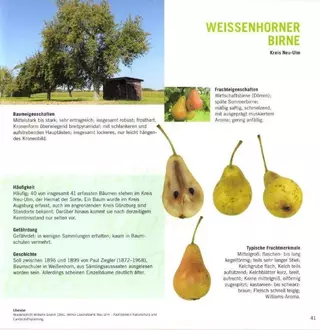 aktionstag