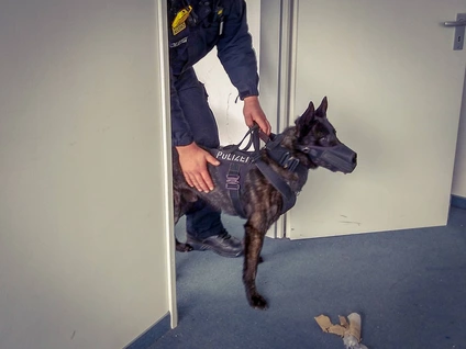 Polizei-Beamter in Uniform mit Body-Cam und Hund