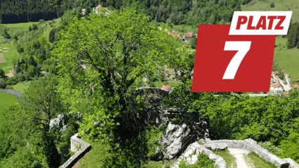 Die schönsten Burgruinen Schwabens