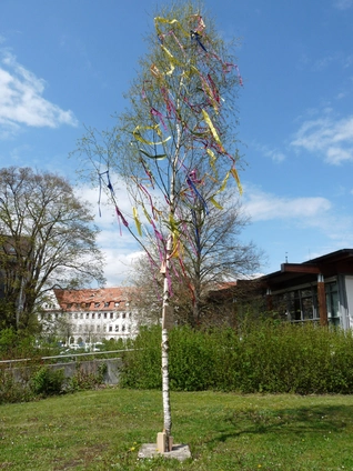 Maibaum Ursberg