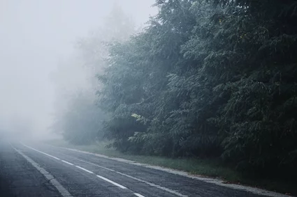 Neblige Straße im Wald
