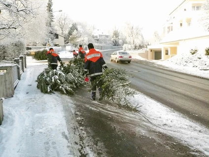 Jugendfeuerwehr Biberach sammelt die Christbäume der Stadt ein — © Jugendfeuerwehr Biberach