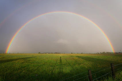 Regenbogen