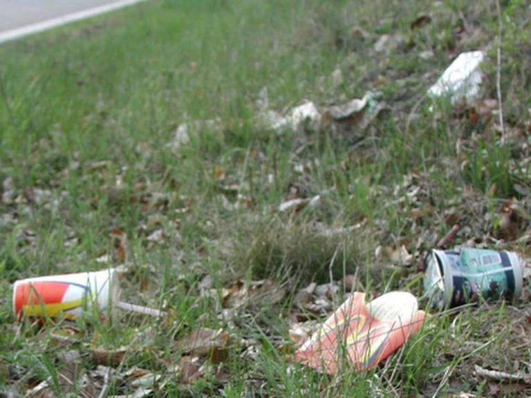 Eine Wiese voll mit Müll — © EBU