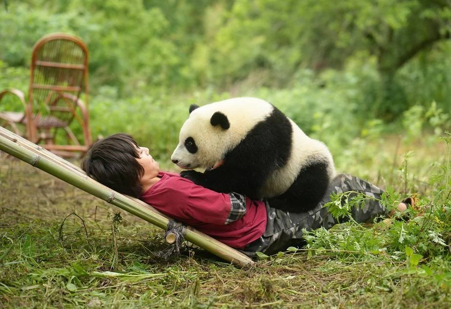 Moon, der Panda — © Weltkino