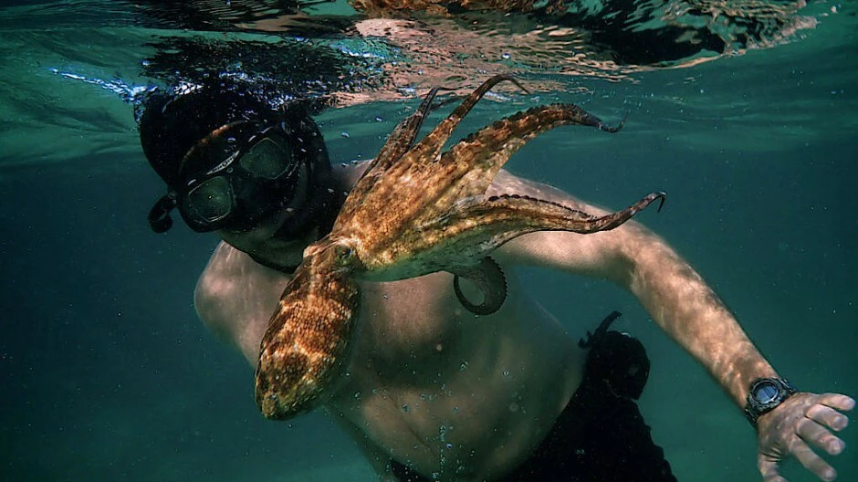 Ein Mann schwimmt mit einem Krake unter Wasser — © Netflix