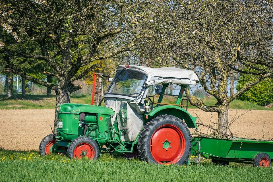 Traktor mit Anhänger auf einer Wiese