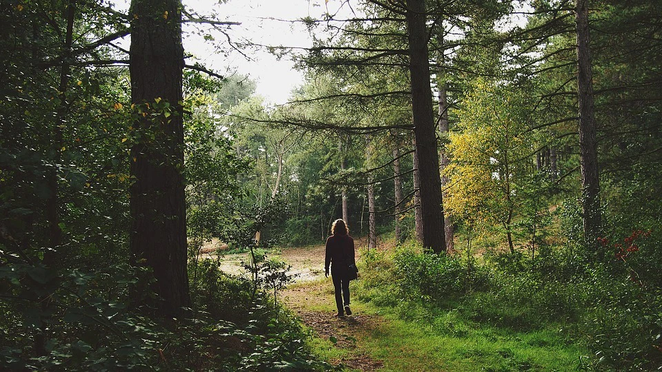 Spaziergängerin im Wald