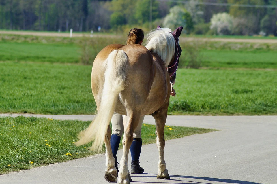Frau führt Pferd auf der Straße