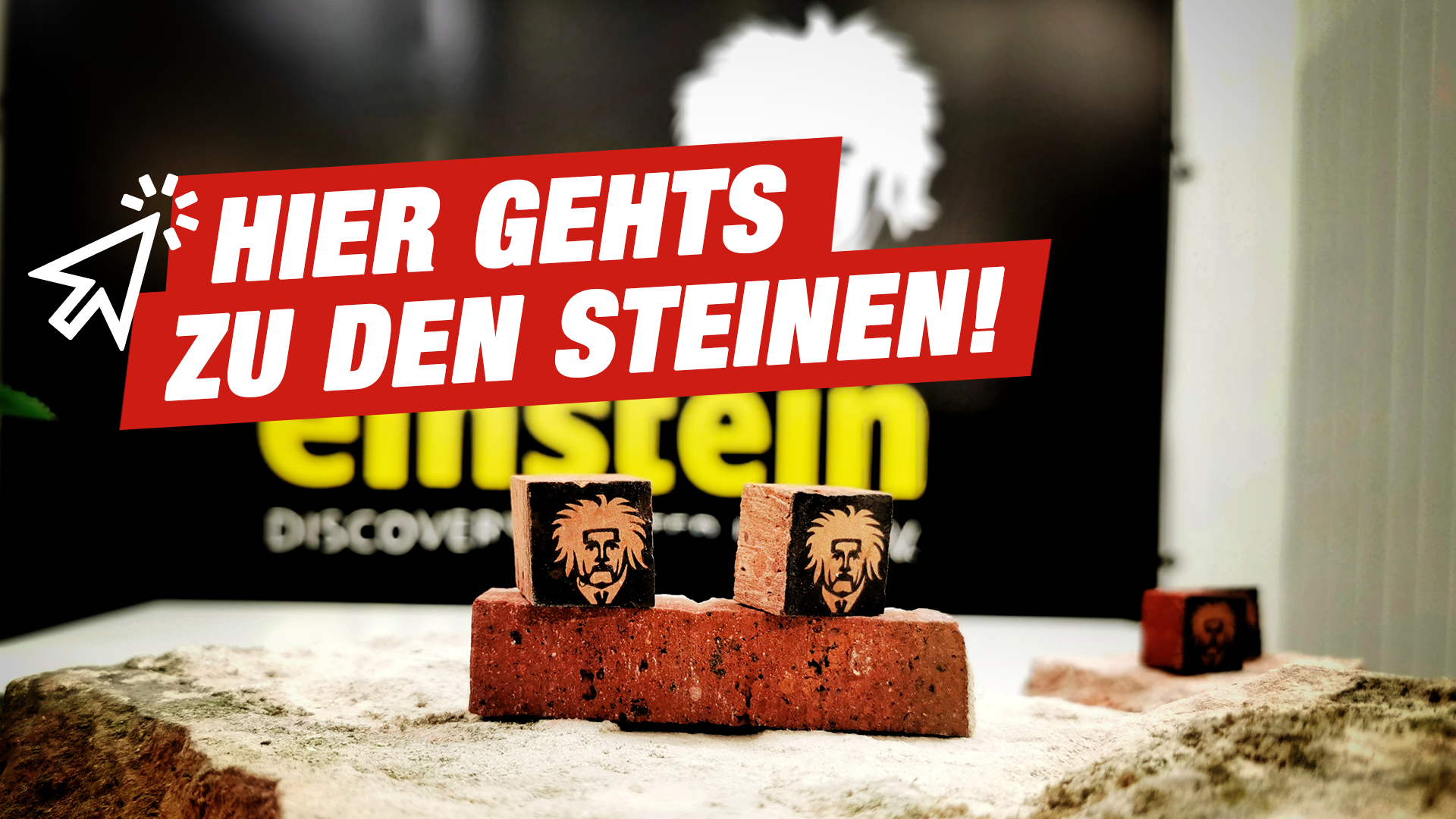Ein Stein für Einstein